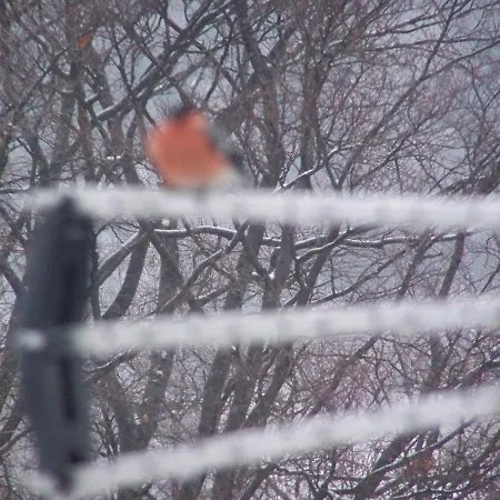 Beatka Resort Świeradów-Zdrój