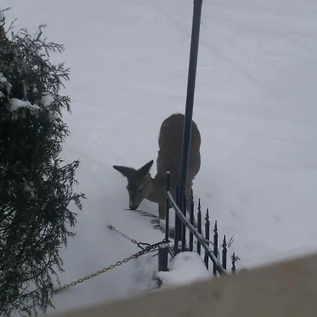 Beatka 3* Świeradów-Zdrój