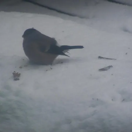 Beatka Świeradów-Zdrój