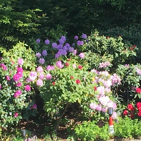 Beatka Świeradów-Zdrój