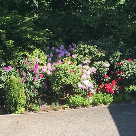 Beatka Świeradów-Zdrój