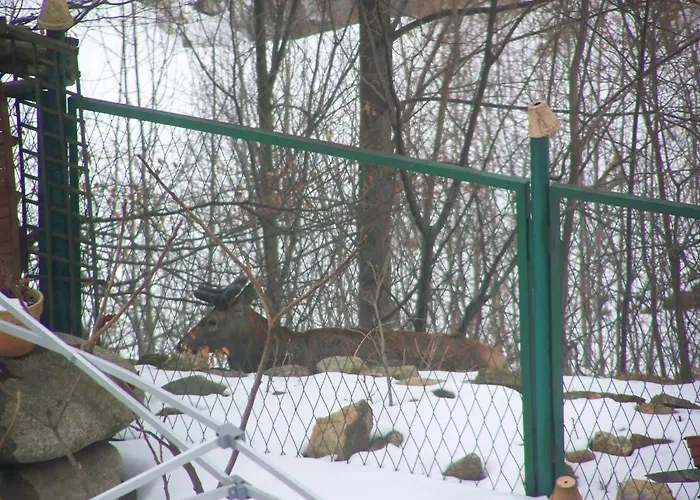 Beatka 3* Świeradów-Zdrój