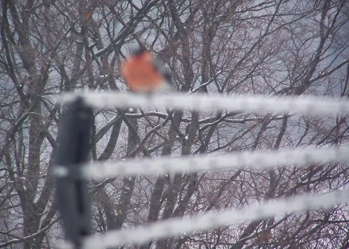 Beatka Üdülőközpont Świeradów-Zdrój