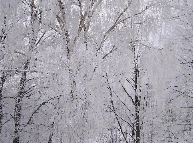Beatka Świeradów-Zdrój