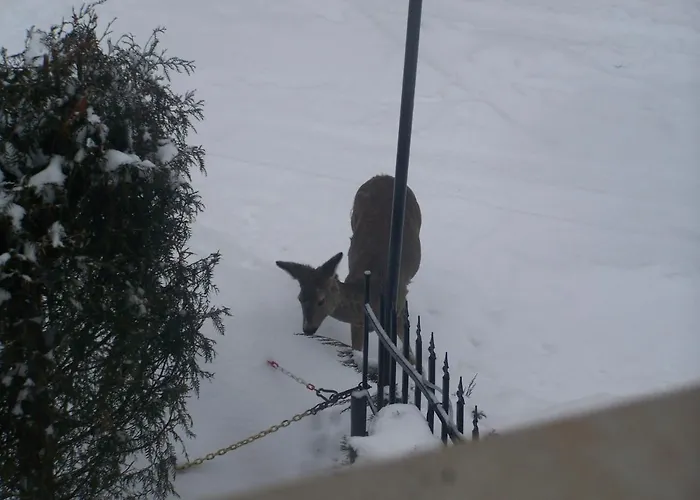 Beatka 3* Świeradów-Zdrój