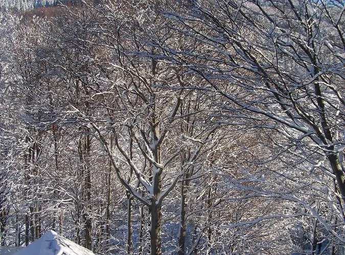 Üdülőközpont Beatka