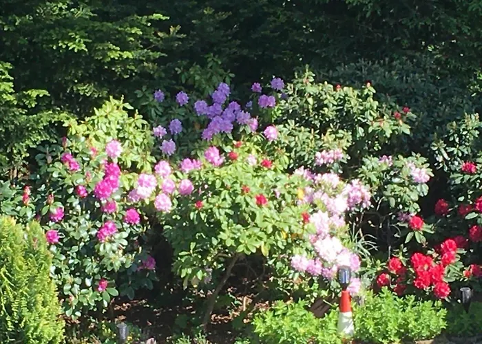 Beatka Świeradów-Zdrój