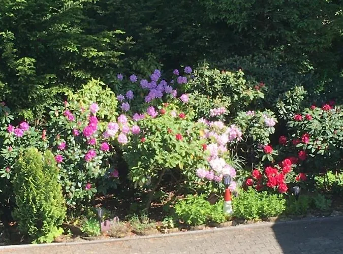 Beatka Świeradów-Zdrój